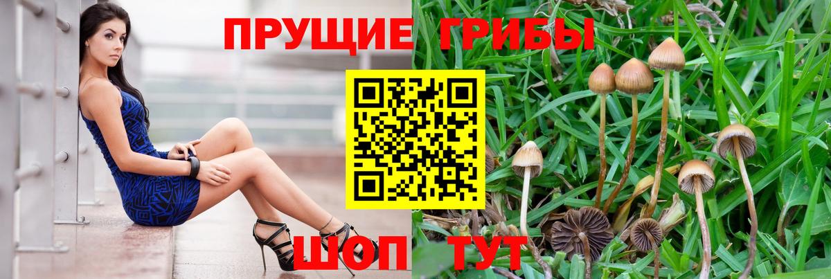 Псилоцибиновые грибы мицелий  Вход с VPN  Галлюциногенные грибы прущие грибы  Энгельс 